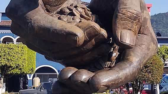 Ruta del Cafe Aristoteles