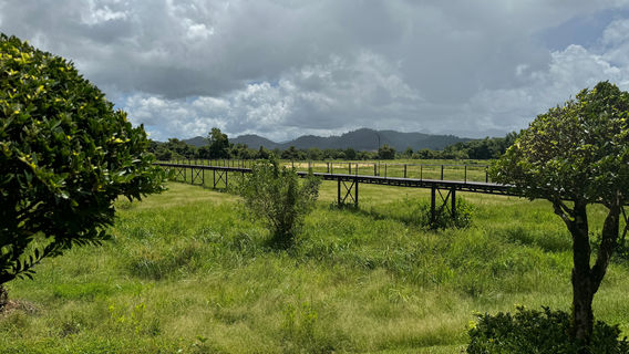 Boon Soong Iron Bridge