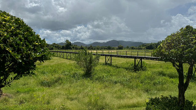 Boon Soong Iron Bridge