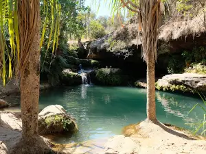 Piscine naturelle