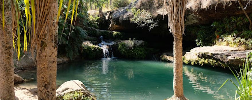 Piscine naturelle