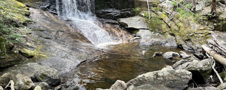 Chapel Brook