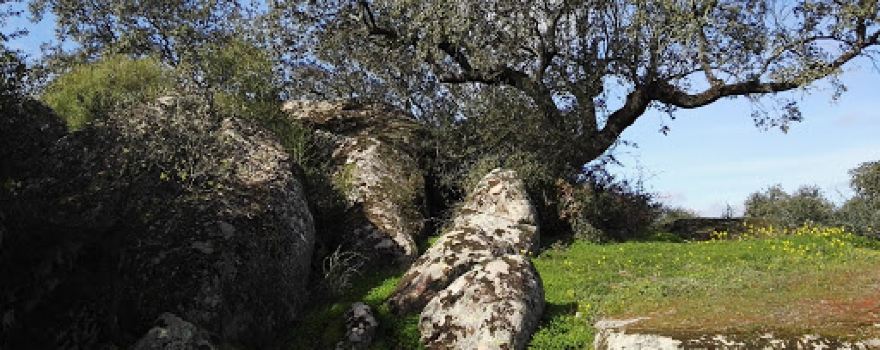 La Tapá, Dehesa