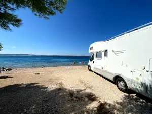 Camp Navis