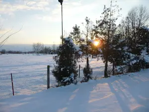 Palérmo
