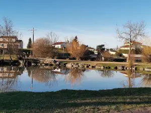 Parc de l'Étang