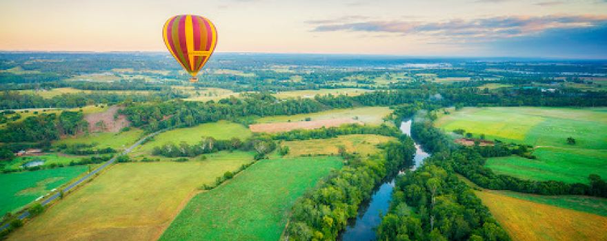 Balloon Aloft Camden