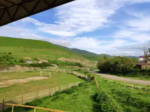 Stadion "Kushtil'"