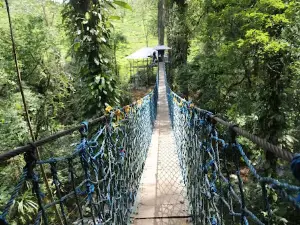 Mount Halimun Salak National Park
