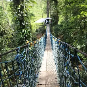 Taman Nasional Gunung Halimun Salak