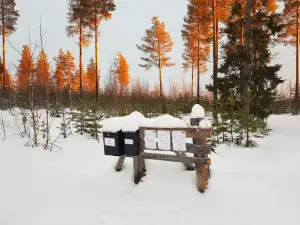 Tiny Living Camping