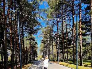 Памятник В. К. Арсеньеву и Дерсу Узала