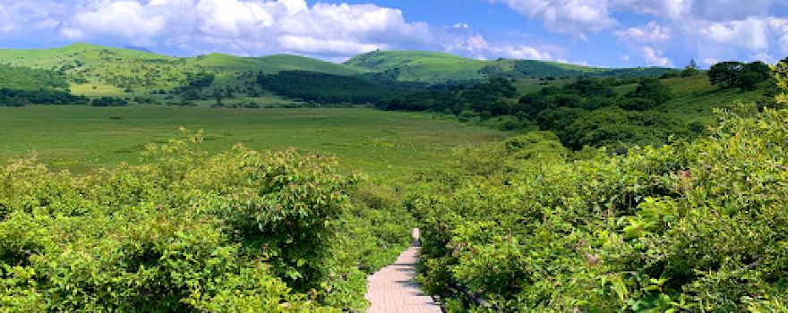 Yashimagahara Marshlands