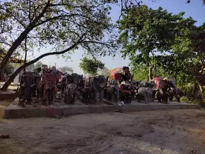 Baluaa Samay Mata Mandir