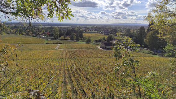 Lavoir de Cortiambles