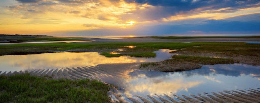 Paines Creek Landing and Beach