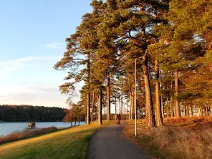 Tunevannet Badeplass