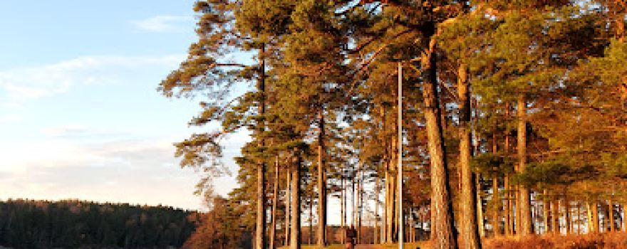 Tunevannet Badeplass