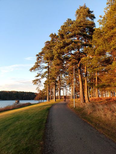 Tunevannet Badeplass