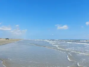 Galveston Island