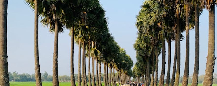 Ghughudanga, Niamatpur, Naogaon