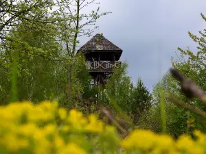 Wieża widokowa