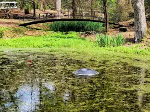 Academy Springs Park