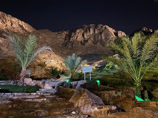 Jabal Ohud Garden