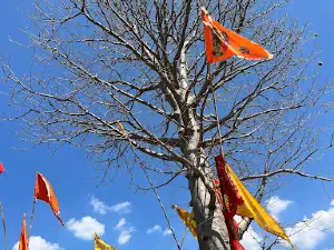 Kalp braksh dham kundikhoh