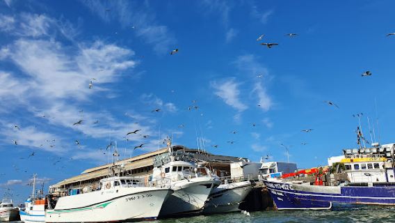 Paseos en barco Isla cristina