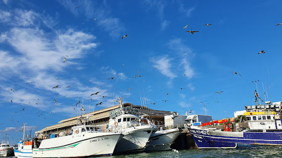 Paseos en barco Isla cristina