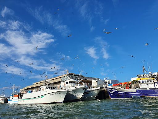 Paseos en barco Isla cristina