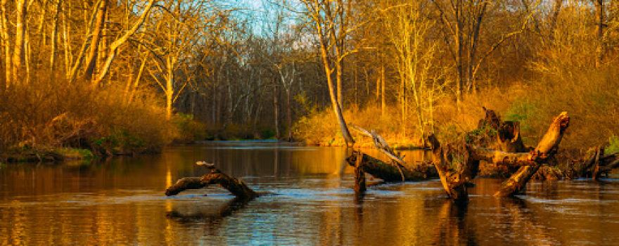 Flatbrook Fish and Wildlife Management Area