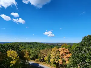 Trigg Observation Tower