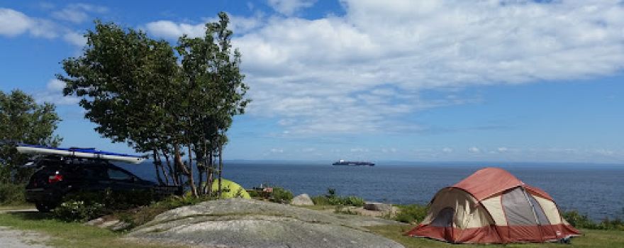 Whale Watching Camping Bergerone Et Equumin