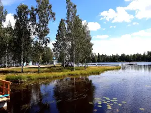 Lokkiharju