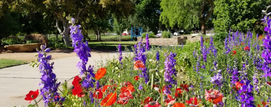 Clapp Park