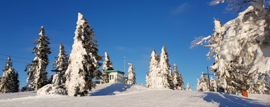 Alm Berg