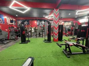 The Fitness Arena