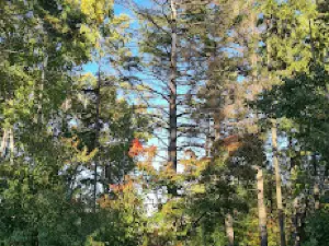 Park Druzhby