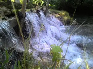Tirta Ria