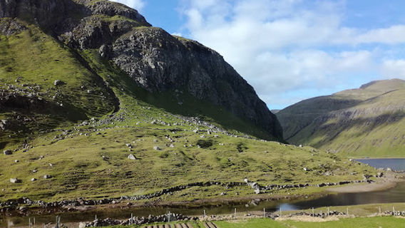 Leynar