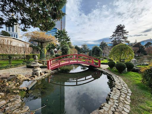 Japanese garden