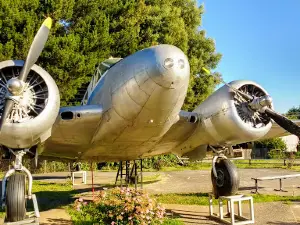 Gorbea plane