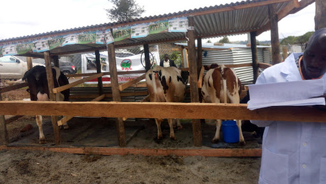 The Bomet County Amphitheatre