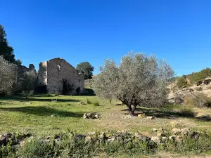 Fuente De Marzo