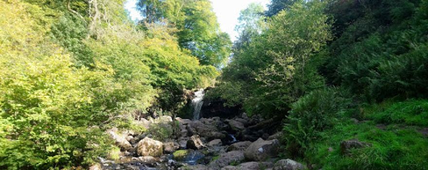 Campsie Waterfall