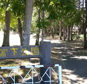 宮下公園