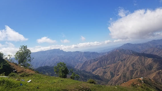 Wynne Farm Ecological Reserve