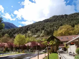Camping Vives